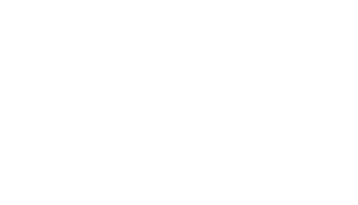 SlimTide